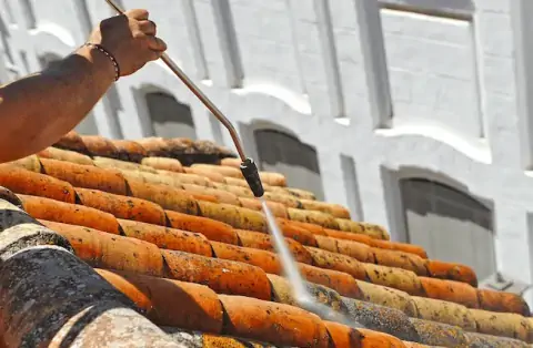 Nettoyage de toitures - Bray-Saint-Aignan